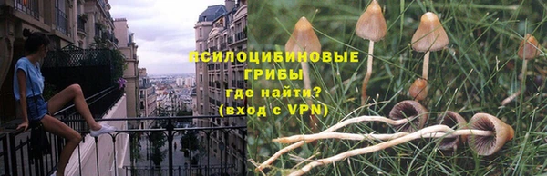 кокаин Белокуриха