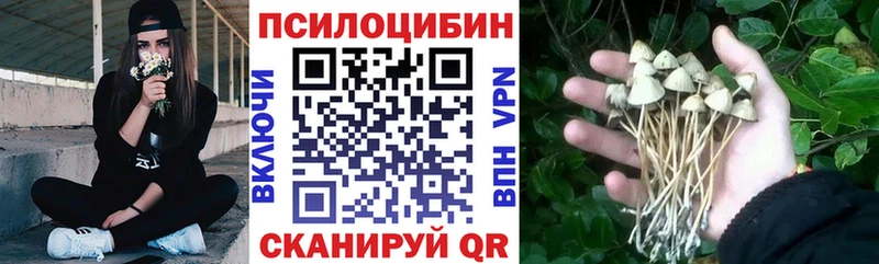Галлюциногенные грибы MAGIC MUSHROOMS  наркота  Чадан 
